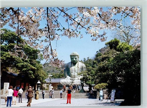 Kamakura great buddha cherry - great,