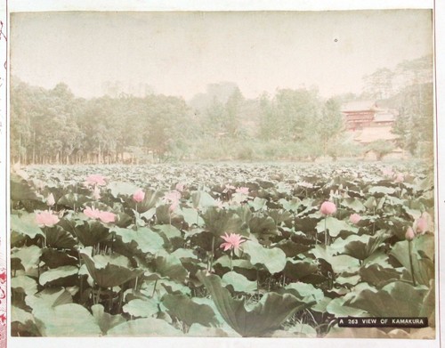 1880 view kamakura japan - /,